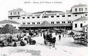 585- Oran - Gambetta vins Gay